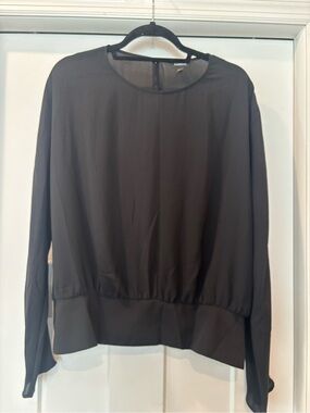 Express Black Sheer Long-Sleeve Top
